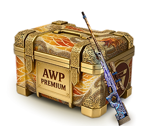 Case Премиум AWP