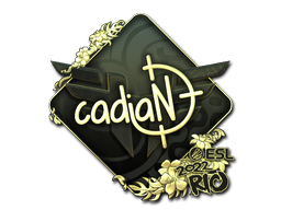 скин